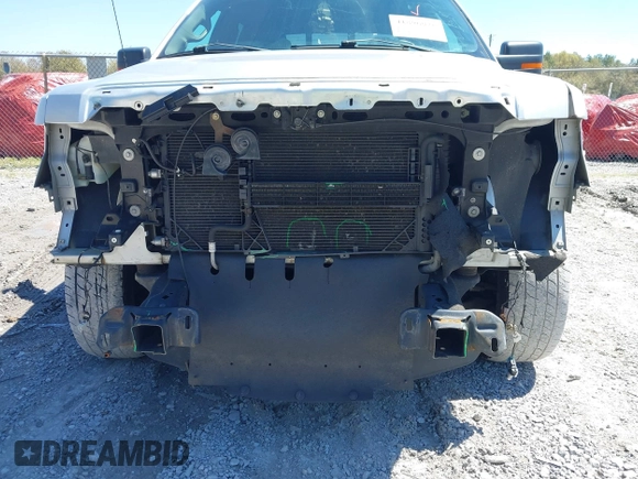 2014 Ford F-150 XL with VIN 1FTEW1CMXEFA32757, listed as a IAAI auction lot 41896026 with 250,978 mi miles. Bid and sale history available at carsss.com. Image 6.