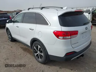 2016 Kia Sorento EX with VIN 5XYPH4A59GG049128, listed as a IAAI auction lot 41748855 with 145,409 mi miles. Bid and sale history available at carsss.com. Image 3.