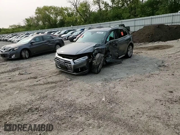2019 Audi Q5 Premium Plus with VIN WA1BNAFY9K2027261, listed as a Copart auction lot 59042595 with Not provided miles and Salvage title. Bid and sale history available at DreamBid. Image 14.