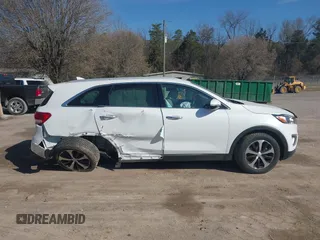 2018 Kia Sorento EX with VIN 5XYPH4A53JG385798, listed as a IAAI auction lot 41676746 with 65,936 mi miles and . Bid and sale history available at DreamBid. Image 13.
