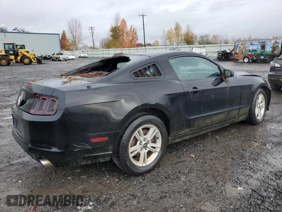 2013 Ford Mustang V6 with VIN 1ZVBP8AM9D5280169, listed as a Copart auction lot 81176564 with 155,330 mi miles and Salvage title. Bid and sale history available at DreamBid. Image 3.