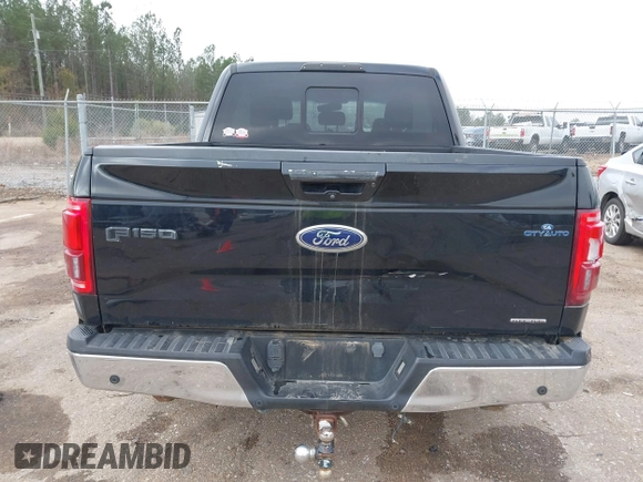 2016 Ford F-150 XLT with VIN 1FTEW1EF7GKF09993, listed as a IAAI auction lot 41127074 with 145,109 mi miles. Bid and sale history available at carsss.com. Image 17.