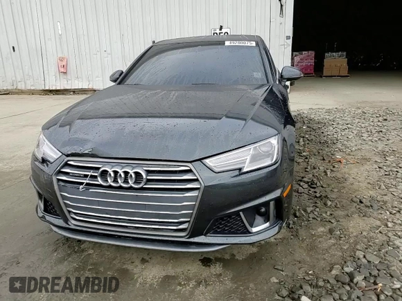 2019 Audi A4 Premium with VIN WAUDNAF45KA007040, listed as a Copart auction lot 49280075 with 32,231 mi miles and Salvage title. Bid and sale history available at DreamBid. Image 13.