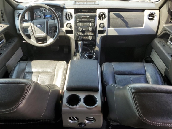 2009 Ford F-150 XL with VIN 1FTPW14V39FA07124, listed as a Copart auction lot 58660225 with 169,321 mi miles and Salvage title. Bid and sale history available at DreamBid. Image 8.