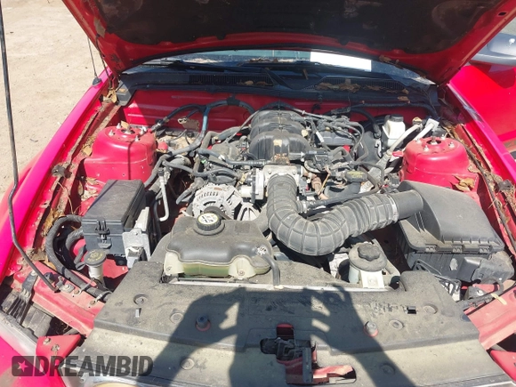 2009 Ford Mustang with VIN 1ZVHT84N795112662, listed as a IAAI auction lot 42322437 with Not provided miles and . Bid and sale history available at DreamBid. Image 10.