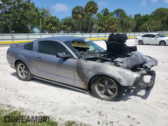 2006 Ford Mustang GT Deluxe with VIN 1ZVFT82H665230721, listed as a Copart auction lot 51584405 with 0 mi miles and Non Repairable. Bid and sale history available at carsss.com. Image 4.