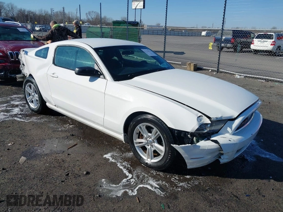 2013 Ford Mustang V6 with VIN 1ZVBP8AM6D5275902, listed as a IAAI auction lot 41750633 with 246,762 mi miles and . Bid and sale history available at DreamBid. Image 1.