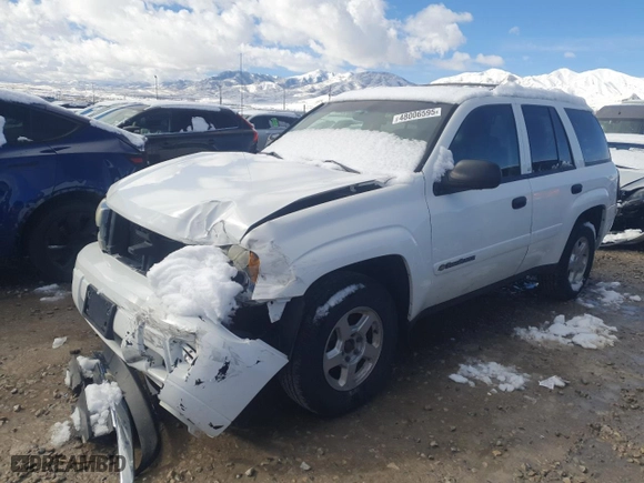 2002 Chevrolet TrailBlazer LS with VIN 1GNDT13S122276844, listed as a Copart auction lot 48006595 with 92,434 mi miles and Salvage Title. Bid and sale history available at carsss.com. Image 1.