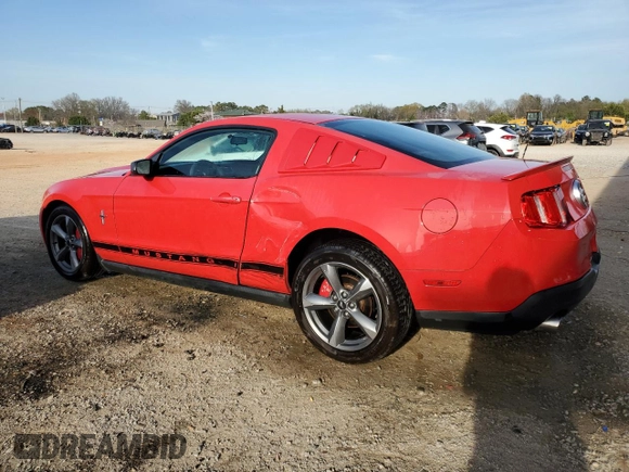 2010 Ford Mustang V6 with VIN 1ZVBP8AN4A5172398, listed as a Copart auction lot 50214925 with 113,094 mi miles and Salvage Title. Bid and sale history available at DreamBid. Image 2.