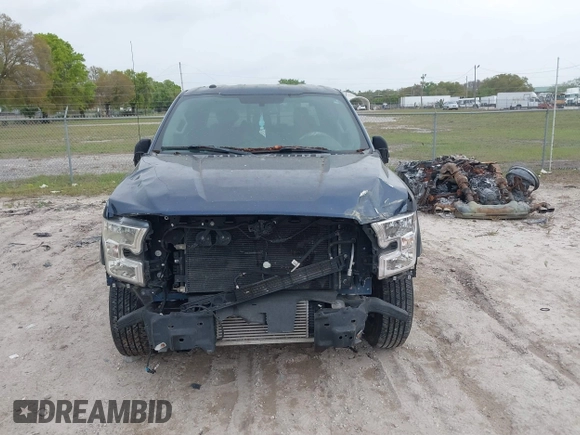 2016 Ford F-150 XL with VIN 1FTEW1CP3GKE81556, listed as a IAAI auction lot 41729080 with 145,506 mi miles and . Bid and sale history available at carsss.com. Image 12.