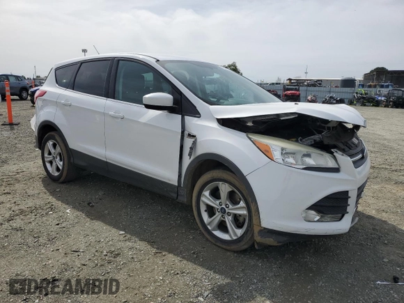 2014 Ford Escape SE with VIN 1FMCU0G93EUB17038, listed as a Copart auction lot 49819315 with 0 mi miles and Salvage Title. Bid and sale history available at carsss.com. Image 4.
