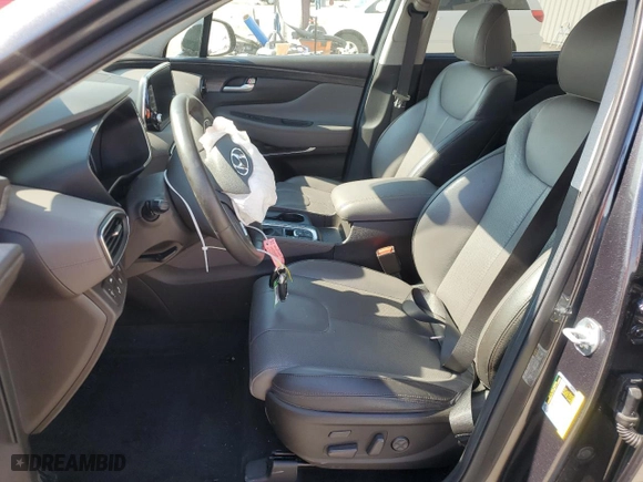 2020 Hyundai Santa Fe Limited with VIN 5NMS53ADXLH272461, listed as a Copart auction lot 44017225 with 53,363 mi miles and Non Repairable. Bid and sale history available at carsss.com. Image 7.