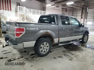 2010 Ford F-150 XL with VIN 1FTFW1EV8AFA98020, listed as a Copart auction lot 46349145 with 197,102 mi miles and Salvage Title. Bid and sale history available at carsss.com. Image 3.