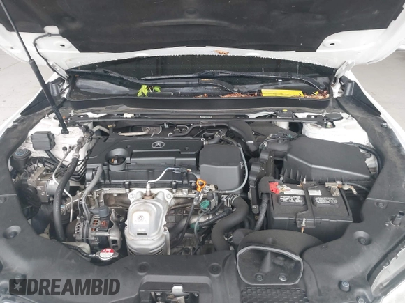 2016 Acura TLX with VIN 19UUB1F30GA008589, listed as a IAAI auction lot 42245457 with Not provided miles and . Bid and sale history available at DreamBid. Image 10.