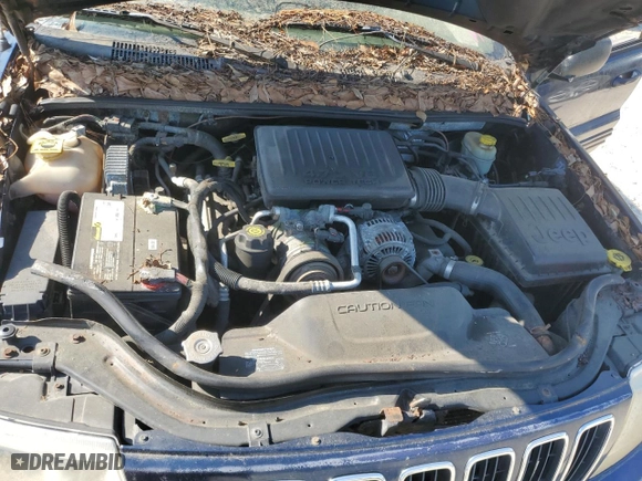2003 Jeep Grand Cherokee Limited with VIN 1J8GW58N63C592607, listed as a Copart auction lot 52824825 with 0 mi miles and Clean Title. Bid and sale history available at carsss.com. Image 11.