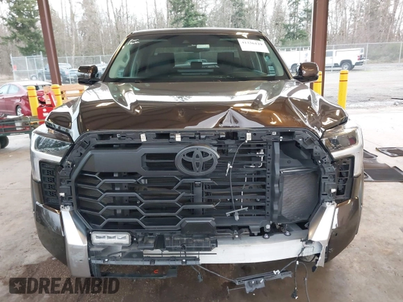 2023 Toyota Tundra Limited with VIN 5TFJA5DB9PX125400, listed as a IAAI auction lot 41336129 with 12,384 mi miles and . Bid and sale history available at DreamBid. Image 13.