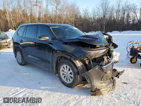 2024 Toyota Highlander XLE with VIN 5TDAAAB57RS027559, listed as a Copart auction lot 41861825 with 18,907 mi miles and Salvage title. Bid and sale history available at DreamBid. Image 4.