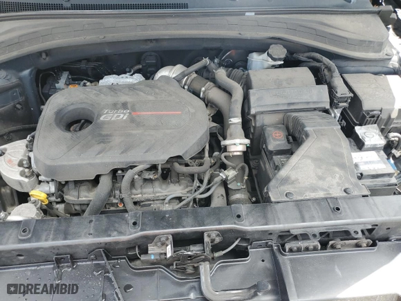 2019 Hyundai Santa Fe Limited with VIN 5NMS53AA2KH133896, listed as a Copart auction lot 51812595 with 122,601 mi miles and Salvage Title. Bid and sale history available at carsss.com. Image 12.