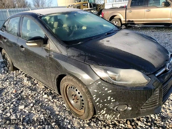 2013 Ford Focus SE with VIN 1FADP3F29DL340104, listed as a Copart auction lot 50314255 with 99,604 mi miles and Salvage Title. Bid and sale history available at carsss.com. Image 11.