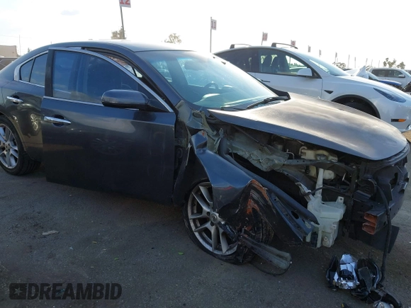 2009 Nissan Maxima SV with VIN 1N4AA51E89C827075, listed as a IAAI auction lot 41551131 with 203,304 mi miles and . Bid and sale history available at DreamBid. Image 6.