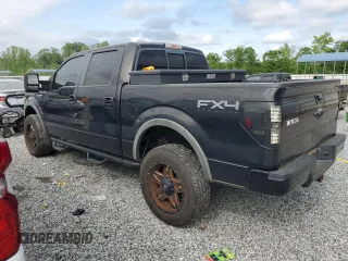 2013 Ford F-150 XL with VIN 1FTFW1EF8DFA98497, listed as a Copart auction lot 55030295 with 231,057 mi miles and Salvage title. Bid and sale history available at DreamBid. Image 2.