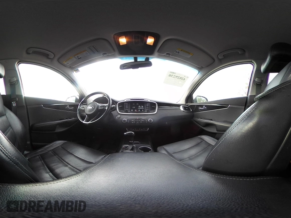 2017 Kia Sorento EX with VIN 5XYPHDA52HG323254, listed as a IAAI auction lot 42029230 with 272,952 mi miles and . Bid and sale history available at DreamBid. Image 18.