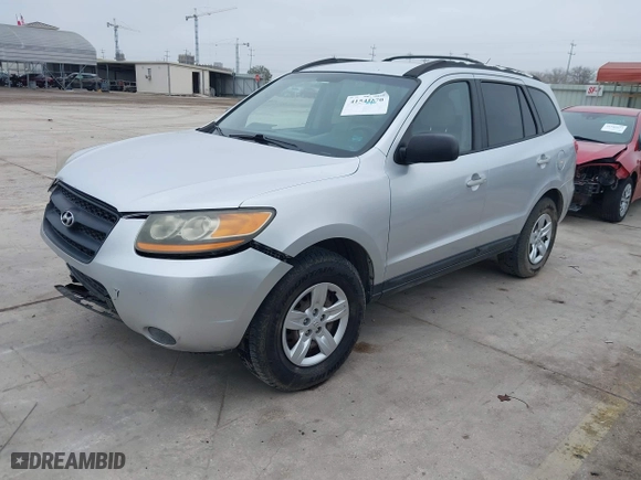 2009 Hyundai Santa Fe GLS with VIN 5NMSG13D49H256499, listed as a IAAI auction lot 41541870 with 265,610 mi miles. Bid and sale history available at carsss.com. Image 17.