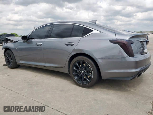 2022 Cadillac CT5 Premium Luxury z VIN 1G6DT5RK2N0117177, wystawiony jako Copart lot #54825945 z przebiegiem 39 212 mil mil oraz Czysty tytuł • Clean title. Historia ofert i sprzedaży dostępna na DreamBid. Obrazek 2.