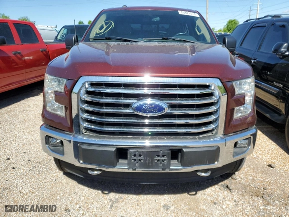 2016 Ford F-150 XLT with VIN 1FTEW1EP3GKD94446, listed as a Copart auction lot 49821574 with 206,534 mi miles and Salvage Title. Bid and sale history available at carsss.com. Image 5.