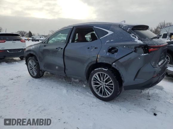 2023 Lexus NX with VIN 2T2GKCEZ0PC010167, listed as a Copart auction lot 87414864 with 19,752 mi miles and Salvage Title. Bid and sale history available at carsss.com. Image 2.
