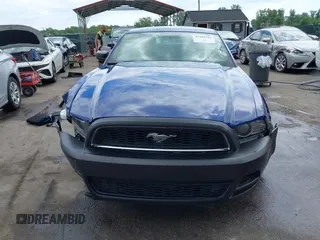 2013 Ford Mustang V6 with VIN 1ZVBP8AM7D5228491, listed as a IAAI auction lot 42209129 with 146,461 mi miles and . Bid and sale history available at DreamBid. Image 12.