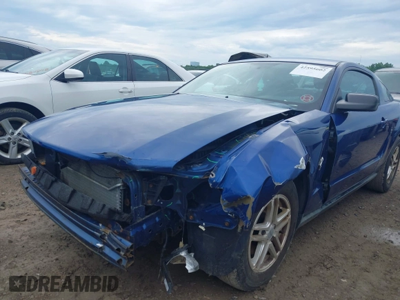 2009 Ford Mustang with VIN 1ZVHT80N795142637, listed as a IAAI auction lot 42595602 with 69,284 mi miles and . Bid and sale history available at DreamBid. Image 6.