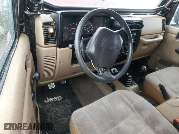 2001 Jeep Wrangler SE with VIN 1J4FA29P61P303287, listed as a Copart auction lot 48583385 with 162,447 mi miles and Salvage Title. Bid and sale history available at carsss.com. Image 8.