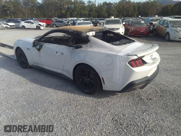 2024 Ford Mustang GT with VIN 1FA6P8CF5R5412439, listed as a IAAI auction lot 40215878 with Not provided miles and . Bid and sale history available at DreamBid. Image 3.