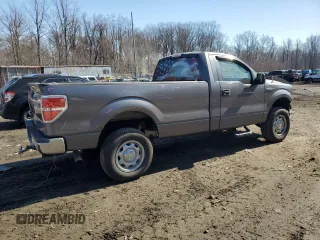 2011 Ford F-150 XL with VIN 1FTMF1CM2BKD08234, listed as a Copart auction lot 48413095 with 144,204 mi miles and Salvage Title. Bid and sale history available at DreamBid. Image 3.