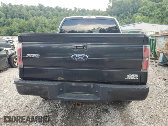 2013 Ford F-150 XL with VIN 1FTFW1EF5DKD04673, listed as a Copart auction lot 60316705 with 308,347 mi miles and Salvage title. Bid and sale history available at DreamBid. Image 6.