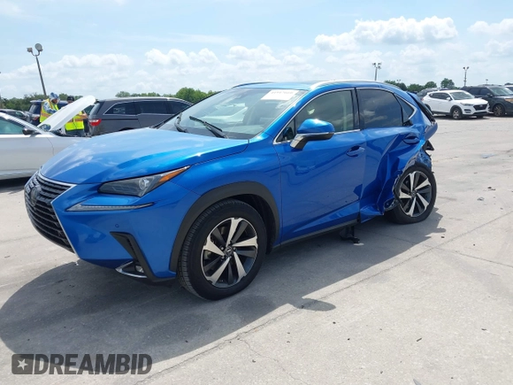 2019 Lexus NX with VIN JTJYARBZ8K2150393, listed as a IAAI auction lot 41917660 with 87,728 mi miles. Bid and sale history available at carsss.com. Image 17.