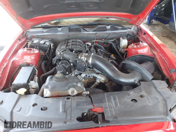 2013 Ford Mustang V6 с VIN 1ZVBP8AM4D5276112, выставлен на аукционе IAAI как лот 42543725 с пробегом Не указан миль и . История ставок и продаж доступна на DreamBid. Изображение 10.