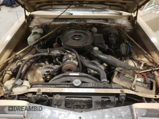 1983 Chrysler New Yorker 5th Ave Edition z VIN 2C3BF66P5DR150653, wystawiony jako Copart lot #75411924 z przebiegiem 67 095 mil mil oraz Szkody całkowita. Historia ofert i sprzedaży dostępna na DreamBid. Obrazek 13.