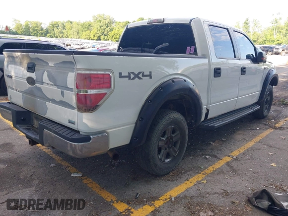 2010 Ford F-150 XL with VIN 1FTFW1EVXAKA89827, listed as a IAAI auction lot 42573342 with 205,504 mi miles and . Bid and sale history available at DreamBid. Image 4.