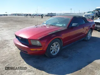 2006 Ford Mustang Standard with VIN 1ZVFT84N165244772, listed as a IAAI auction lot 41656994 with Not Provided miles and . Bid and sale history available at carsss.com. Image 2.