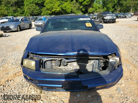 2008 Ford Mustang Deluxe with VIN 1ZVHT84N685204389, listed as a Copart auction lot 53347695 with Not Provided miles and Clean Title. Bid and sale history available at carsss.com. Image 5.