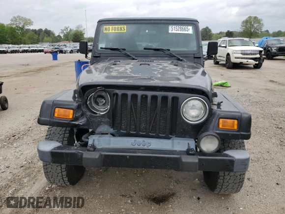 2002 Jeep Wrangler Sahara with VIN 1J4FA59S22P771136, listed as a Copart auction lot 51528665 with 236,882 mi miles and Salvage title. Bid and sale history available at DreamBid. Image 5.