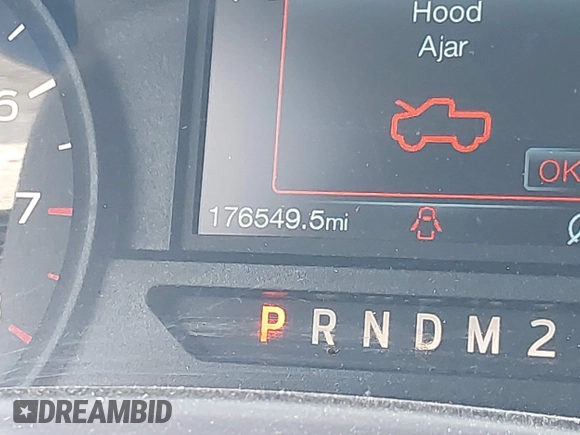 2018 Ford F-150 XL with VIN 1FTEX1CB1JKF06401, listed as a IAAI auction lot 42159664 with 176,549 mi miles and . Bid and sale history available at DreamBid. Image 7.