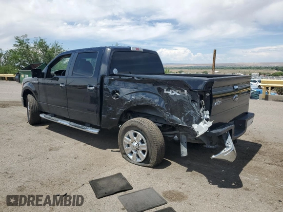 2010 Ford F-150 XL with VIN 1FTEW1E89AFB36912, listed as a Copart auction lot 59979485 with 99,476 mi miles and Salvage title. Bid and sale history available at DreamBid. Image 2.