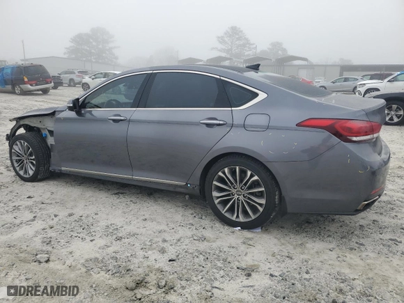 2016 Hyundai Genesis 3.8L with VIN KMHGN4JE6GU106291, listed as a Copart auction lot 48490425 with 136,564 mi miles and Salvage Title. Bid and sale history available at carsss.com. Image 2.