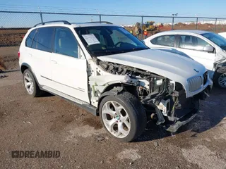 2010 BMW X5 z VIN 5UXFE8C59AL312656, wystawiony jako IAAI lot #41741670 z przebiegiem 128 055 mil mil oraz . Historia ofert i sprzedaży dostępna na DreamBid. Obrazek 1.