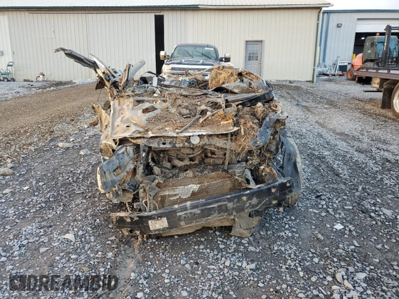 2006 Ford Freestyle SE with VIN 1FMZK04186GA30430, listed as a Copart auction lot 77749974 with 0 mi miles and Non Repairable. Bid and sale history available at carsss.com. Image 5.