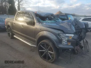 2017 Ford F-150 XL with VIN 1FTEW1EF3HFB11237, listed as a Copart auction lot 45629735 with Not provided miles and Salvage title. Bid and sale history available at DreamBid. Image 4.