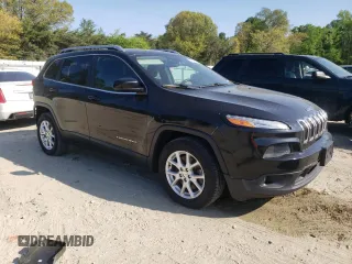 2014 Jeep Cherokee Latitude with VIN 1C4PJLCB0EW148910, listed as a Copart auction lot 54118555 with 154,245 mi miles and Salvage Title. Bid and sale history available at DreamBid. Image 4.